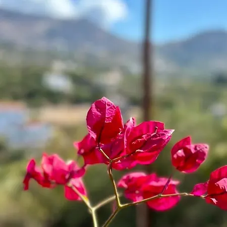 Βίλα Anais Charming Stone House