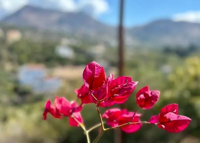 וילה Anais Charming Stone House